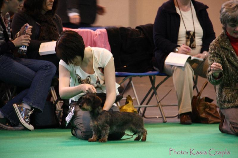 Crufts2011_2 459.jpg